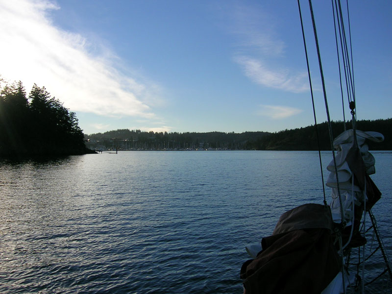 DSCN1484